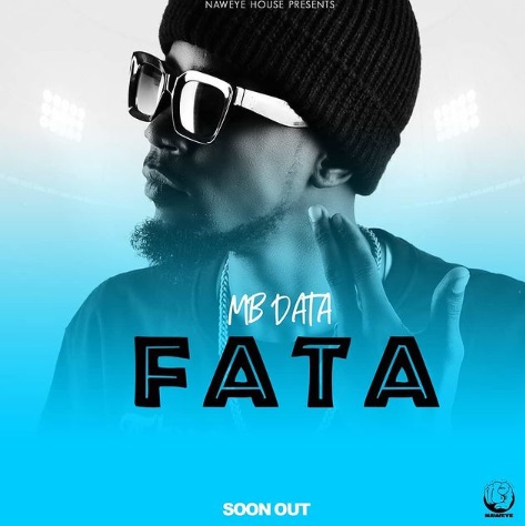 MB DATA Fata cover image