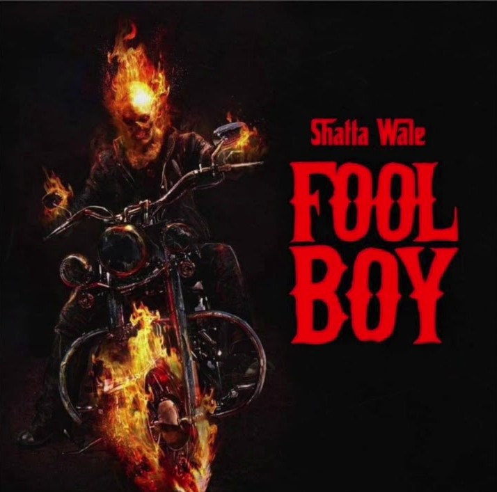 SHATTA WALE Fool Boy cover image