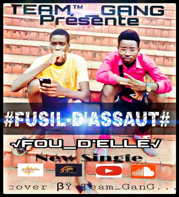 FUSIL D'ASSAUT Fou D'elle cover image