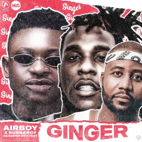 AIRBOY Ginger cover image