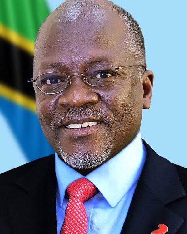 ROSA REE Goodbye Magufuli cover image