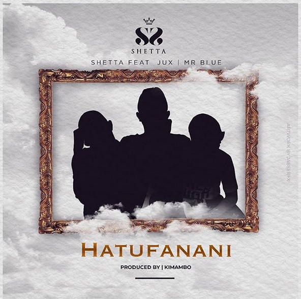 SHETTA Hatufanani cover image