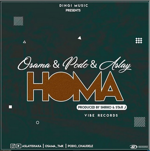 OSAMA Homa cover image