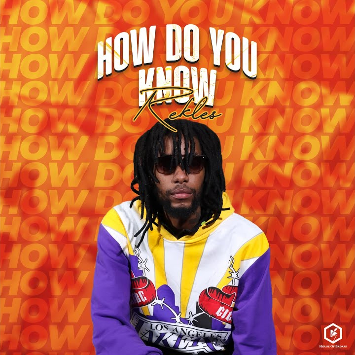 REKLES How Do You Know cover image