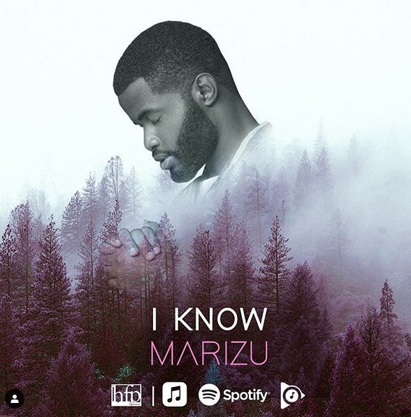 MARIZU I Know cover image
