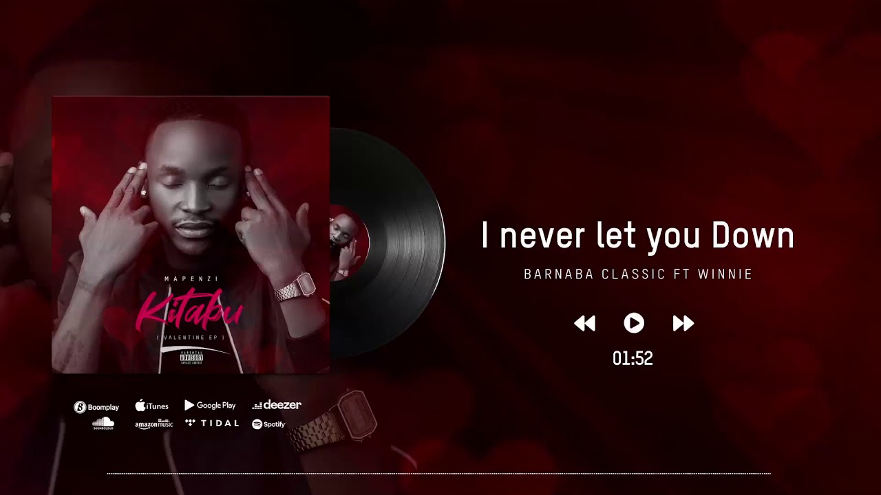 BARNABA I Never let you Down cover image