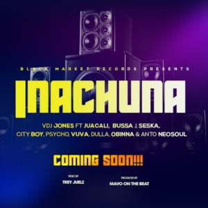 VDJ JONES Inachuna cover image