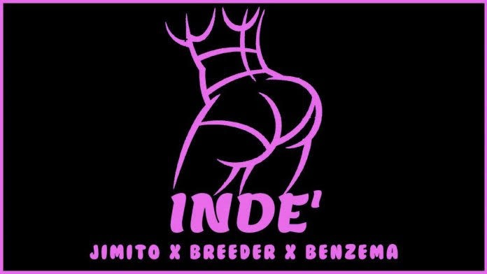 BREEDER LW Inde cover image