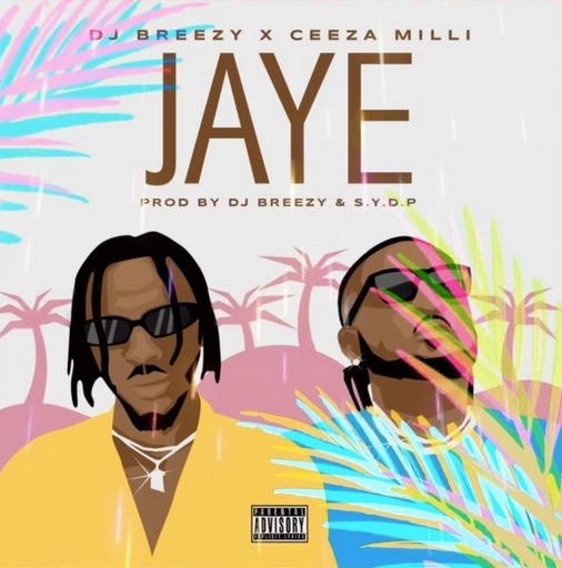 DJ BREEZY Jaye cover image
