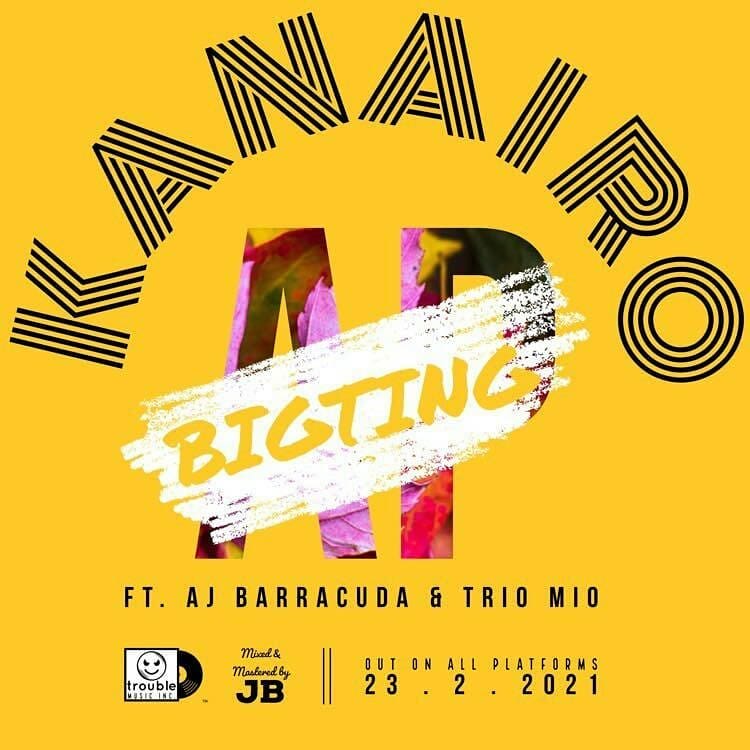 BIGTING AP Kanairo cover image