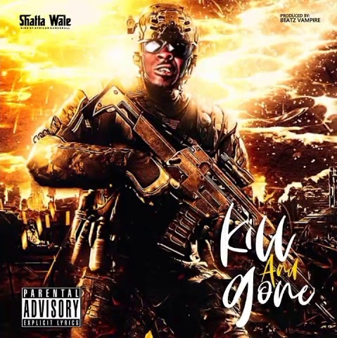 SHATTA WALE Kill and Gone cover image