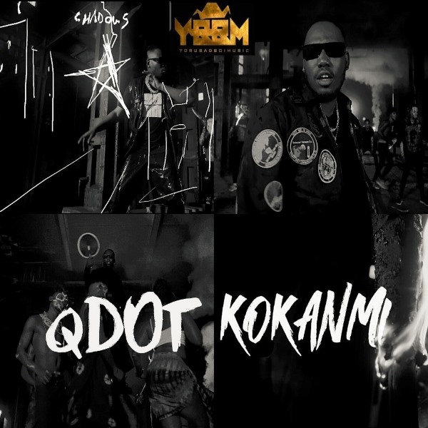 QDOT Kokanmi cover image