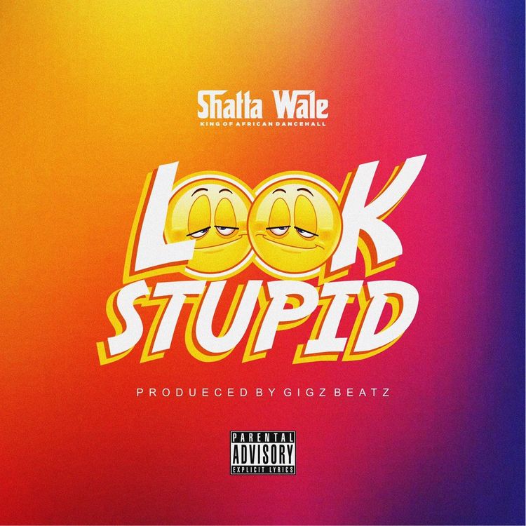 SHATTA WALE Look Stupid cover image