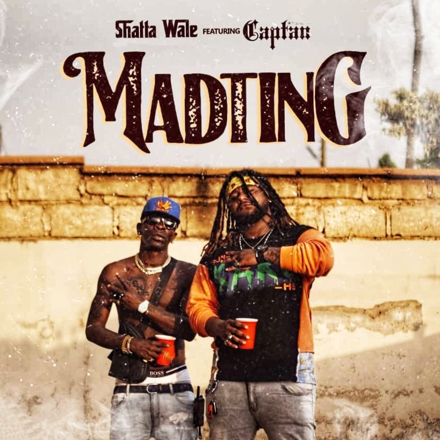 SHATTA WALE Mad Ting cover image