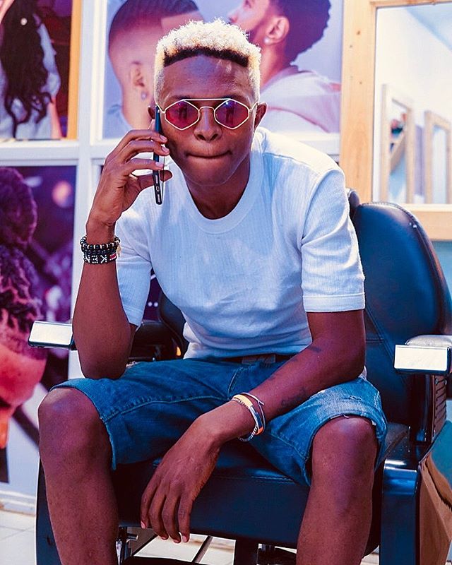 MR SEED Mapito cover image