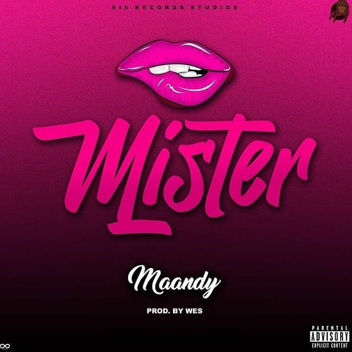 MAANDY Mister cover image
