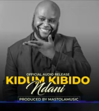 KIDUM Ndani cover image