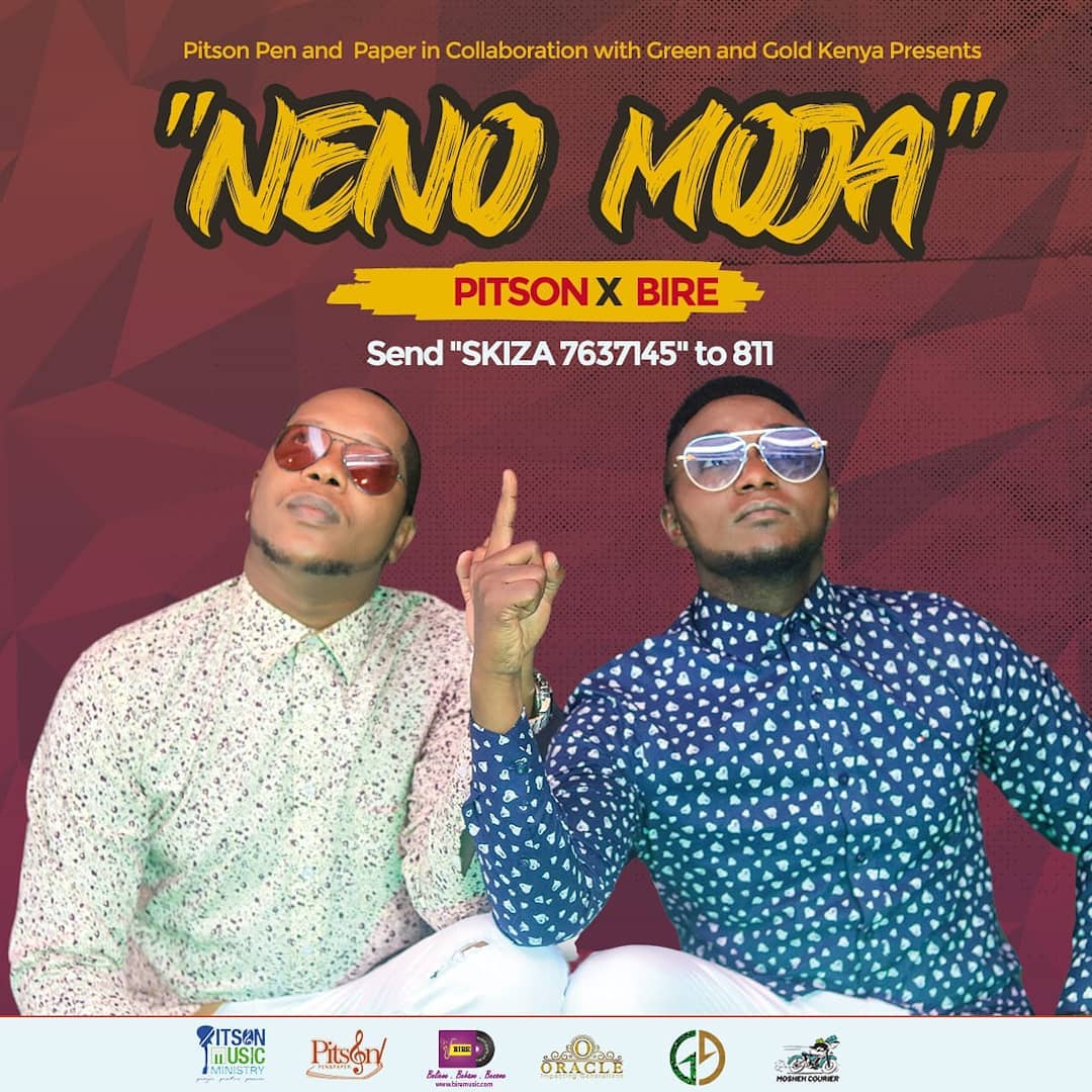 PITSON Neno Moja cover image