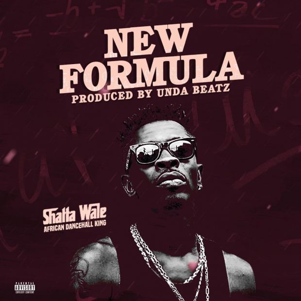 SHATTA WALE New Formula cover image