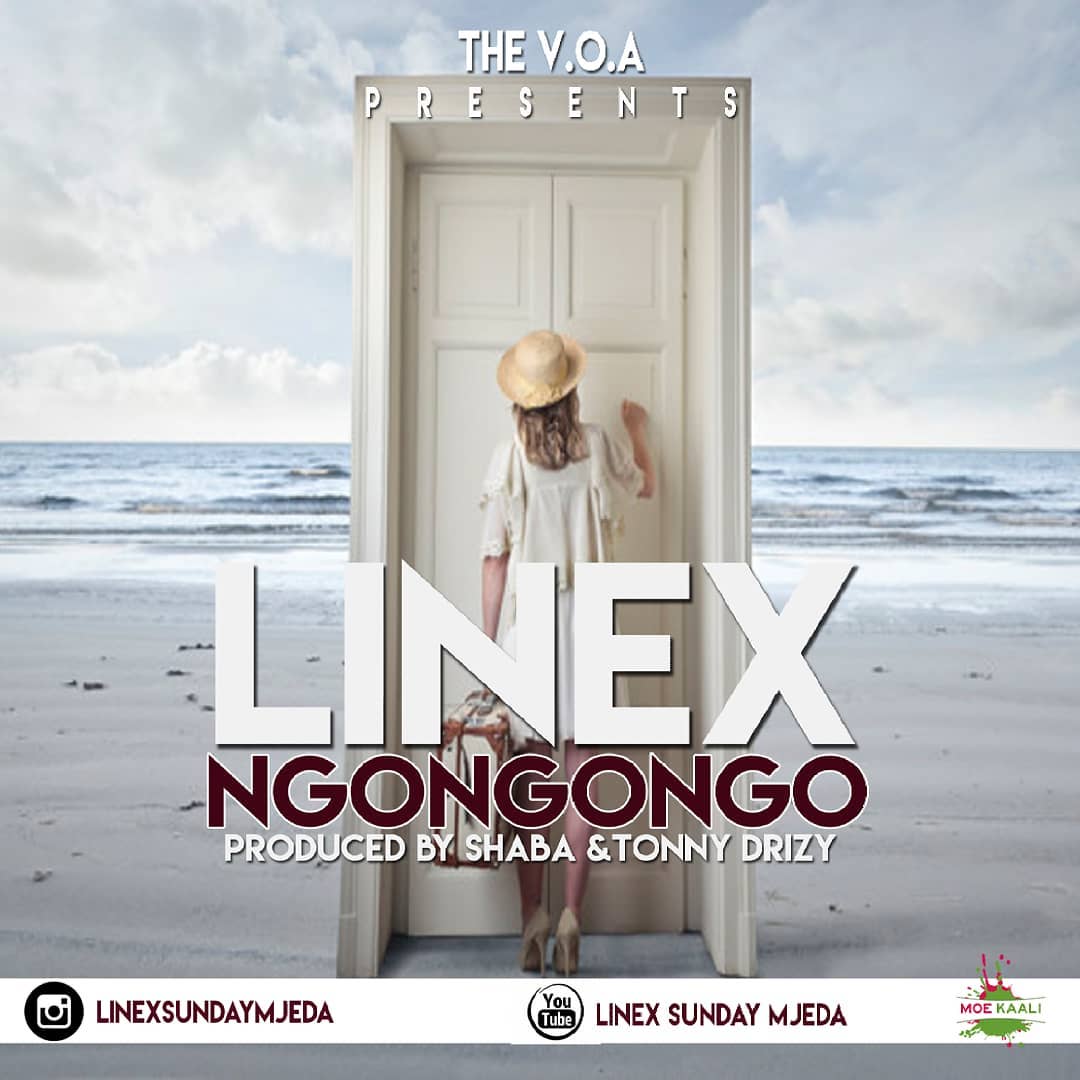 LINEX SUNDAY MJEDA Ngongongo cover image