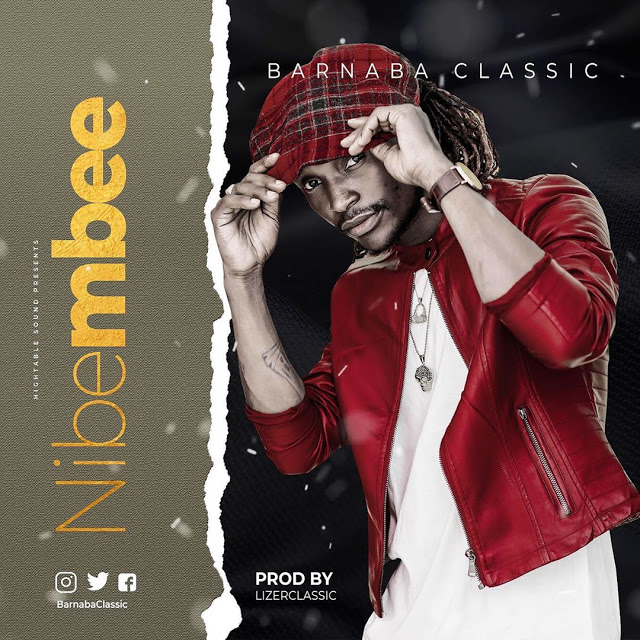 BARNABA Nibembee cover image