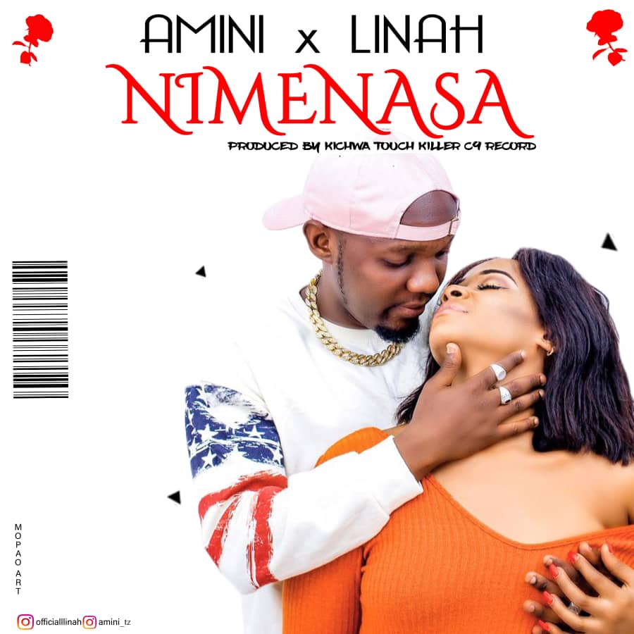 AMINI Nimenasa cover image