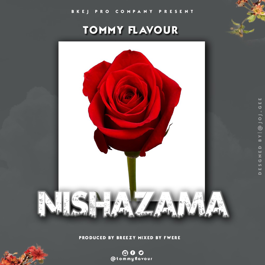 TOMMY FLAVOUR Nishazama cover image