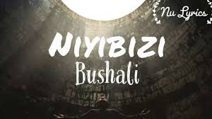 BUSHALI Niyibizi cover image