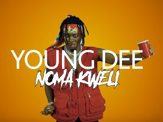 YOUNG DEE Noma Kweli cover image