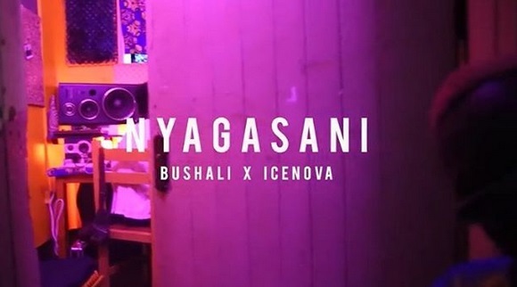 BUSHALI Nyagasani cover image
