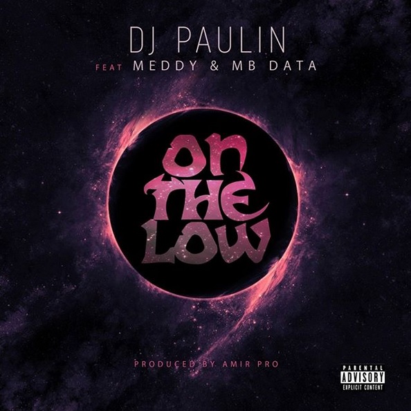 DJ PAULIN On The Low cover image