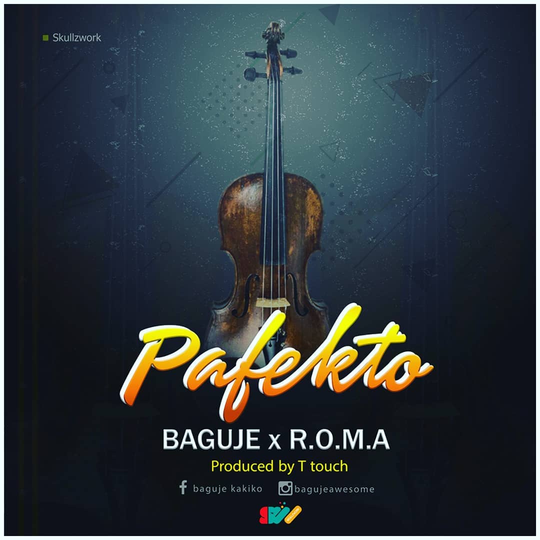 BAGUJE Pafecto cover image