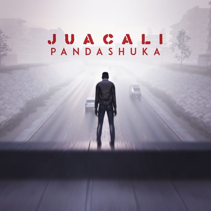 JUA CALI Panda Shuka cover image