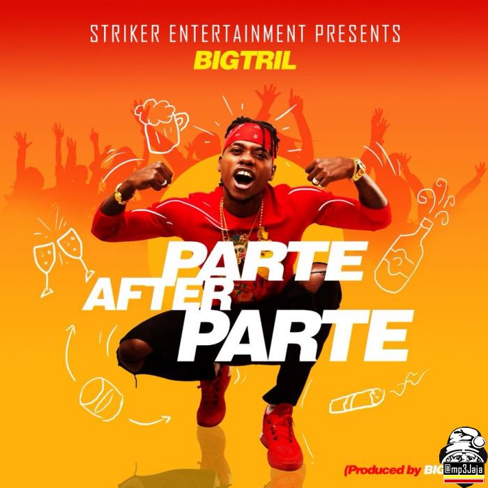 BIG TRIL Parte after Parte cover image