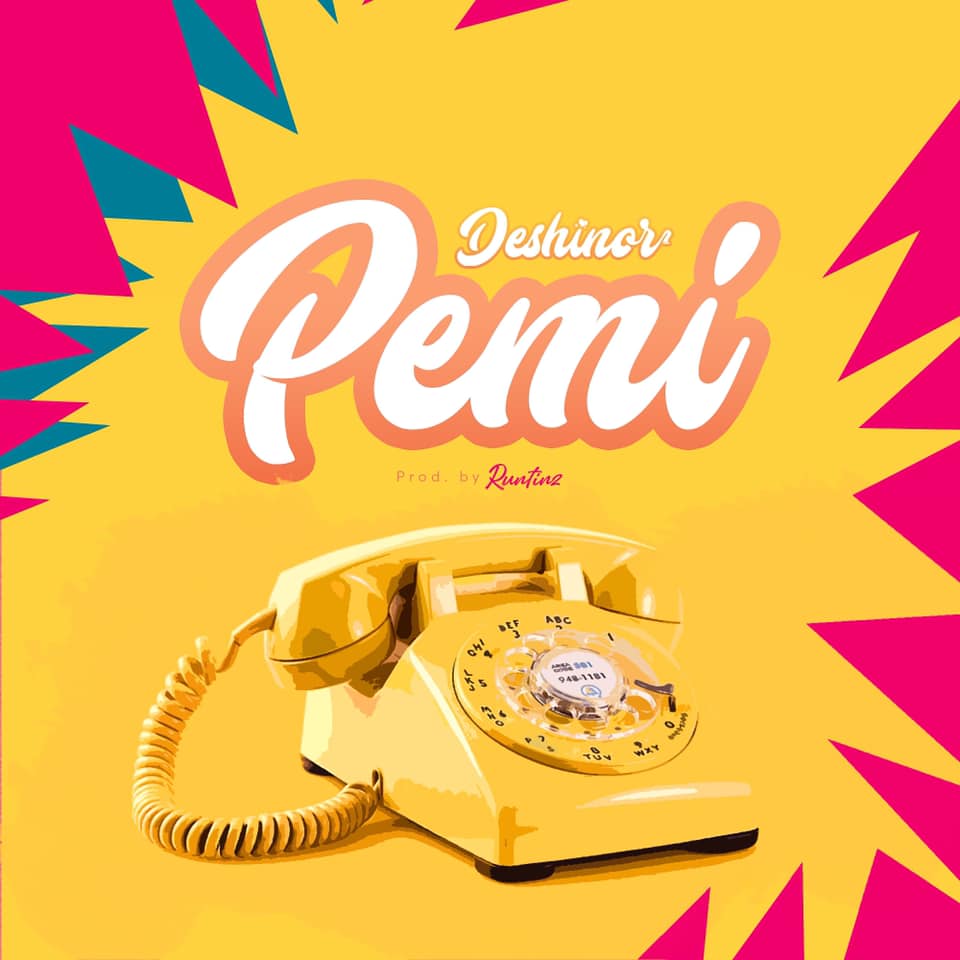 DESHINOR Pemi cover image