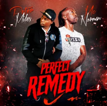 MC NORMAN Perfect Remedy cover image