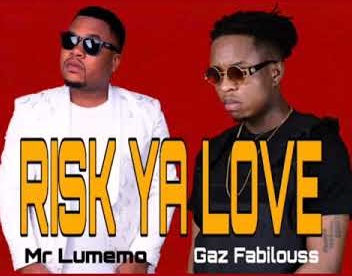MR LUMEMO Risk Ya Love cover image