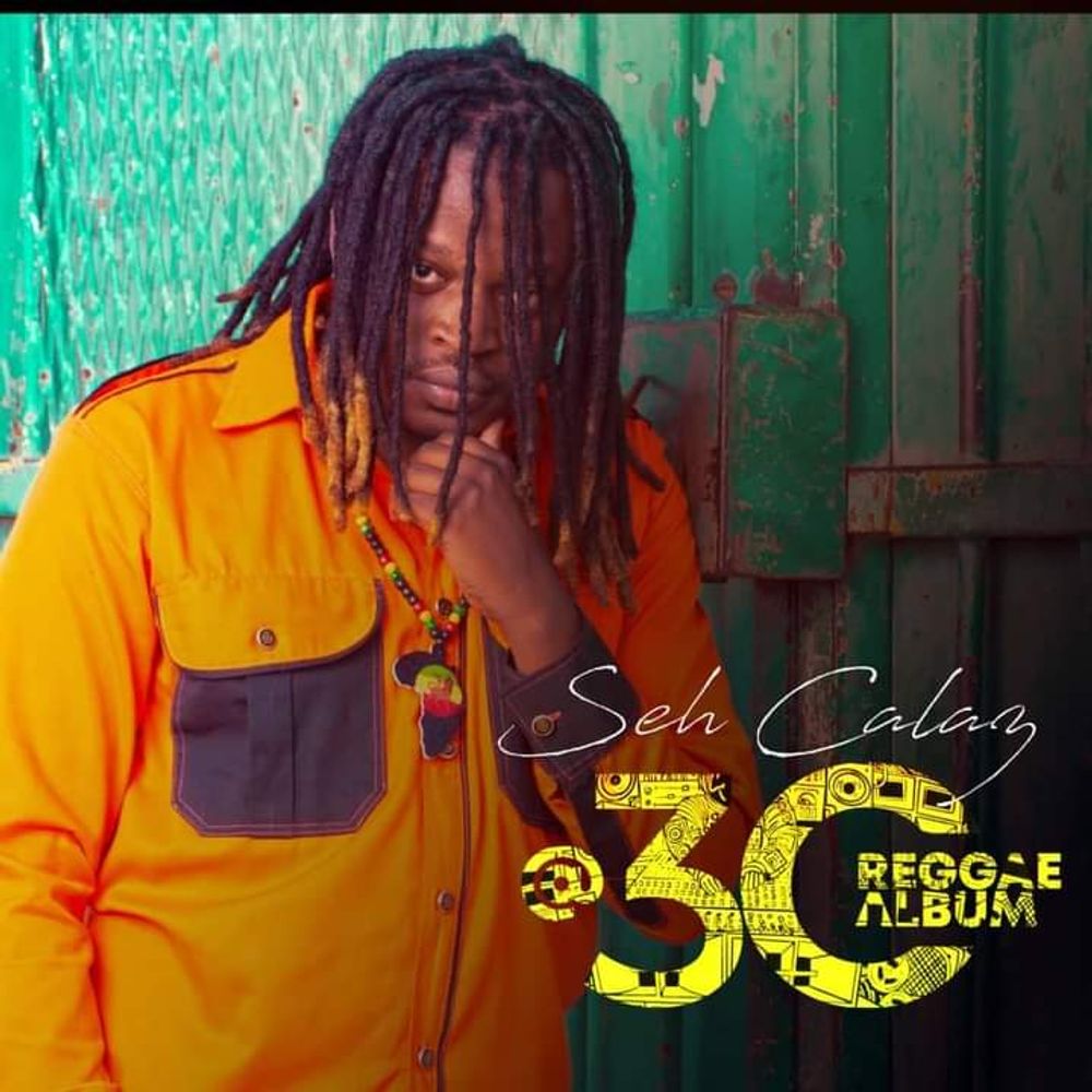 SEH CALAZ Rudo Vaviri cover image