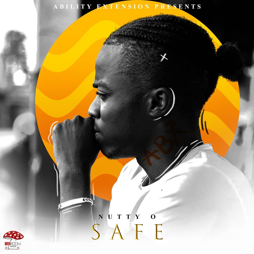 NUTTY O Safe cover image