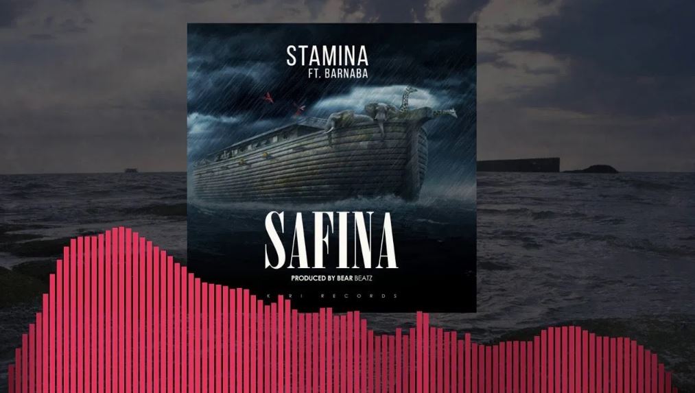 STAMINA Safina cover image