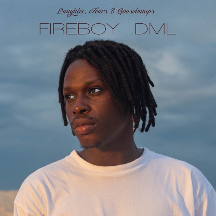 FIREBOY DML Scatter cover image