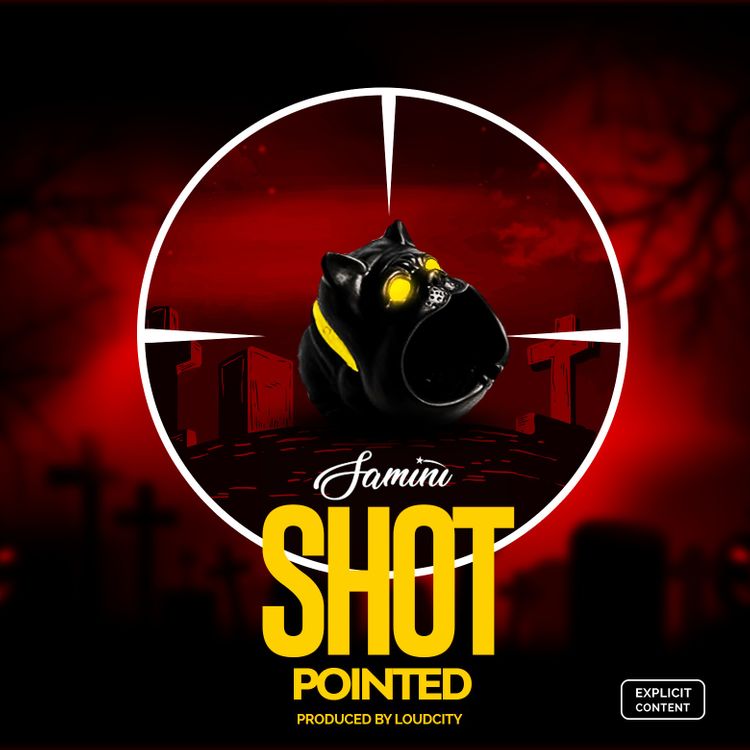 SAMINI Shot Pointed cover image