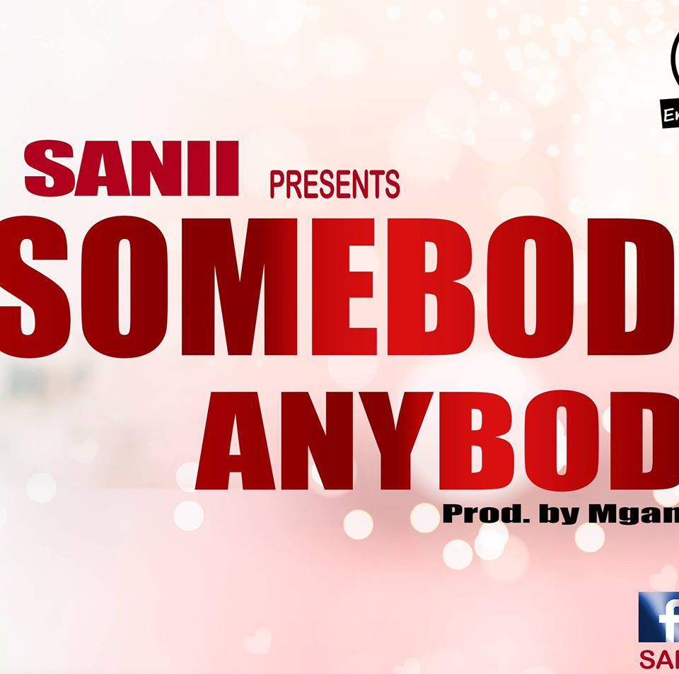 SANII Somebody Anybody cover image