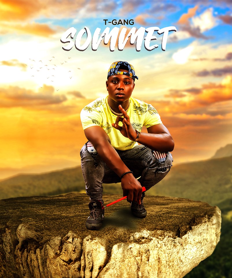 TECHNICIEN GANG Sommet cover image