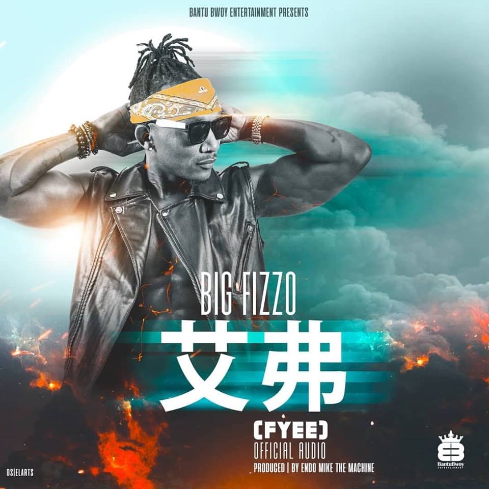 BIG FIZZO Stein cover image