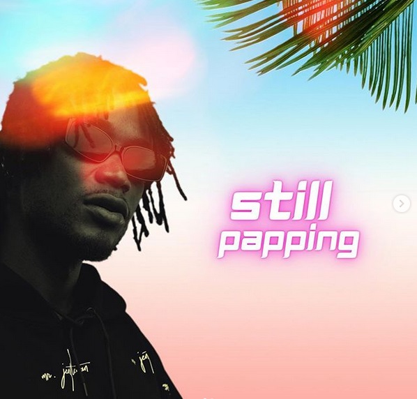 E.L Still papping cover image