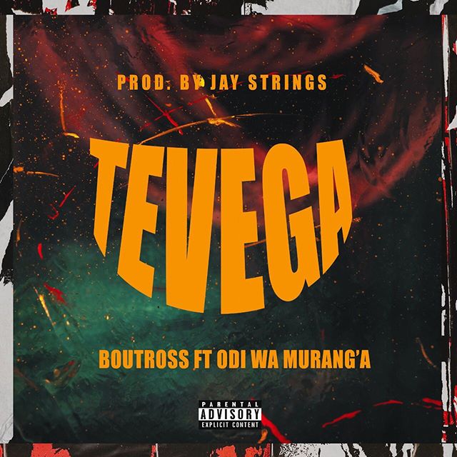 BOUTROSS Tevega cover image
