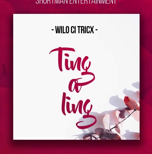 WILO BOY Tingaling cover image