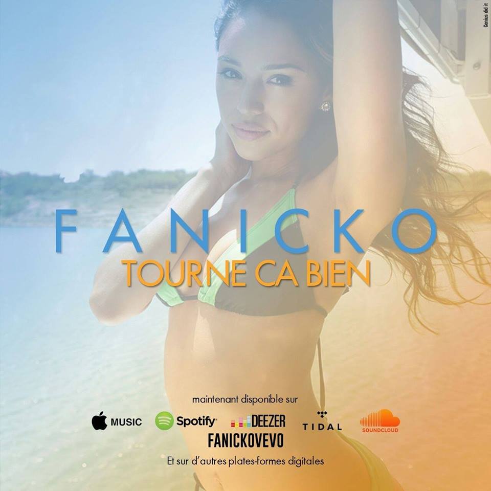 FANICKO Tourne ça Bien cover image