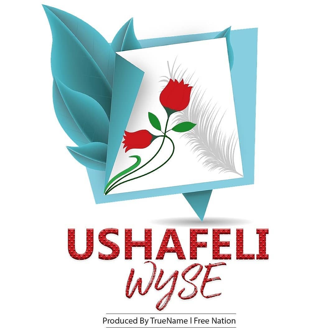 WYSE Ushafeli cover image